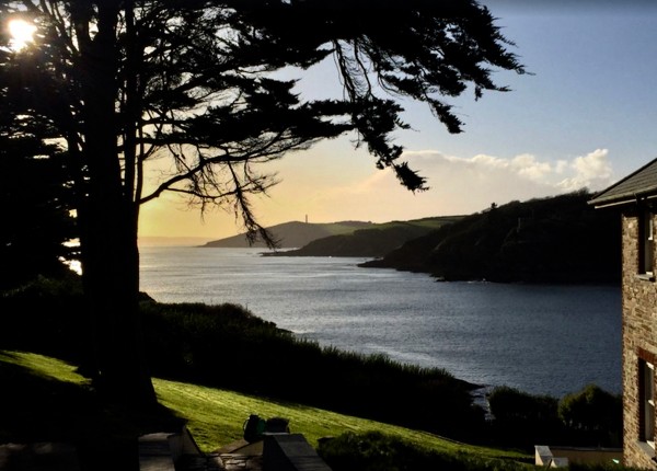 JPT 771 Digital Download